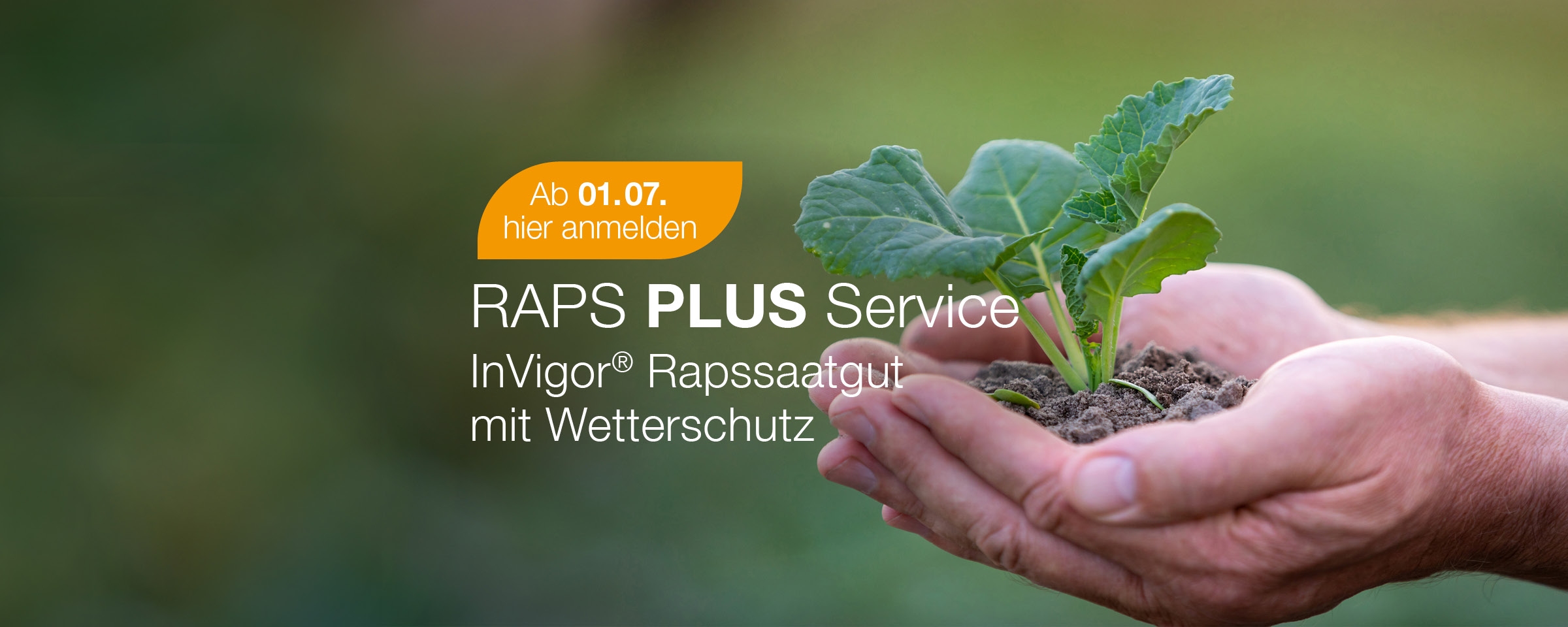 raps-plus-service