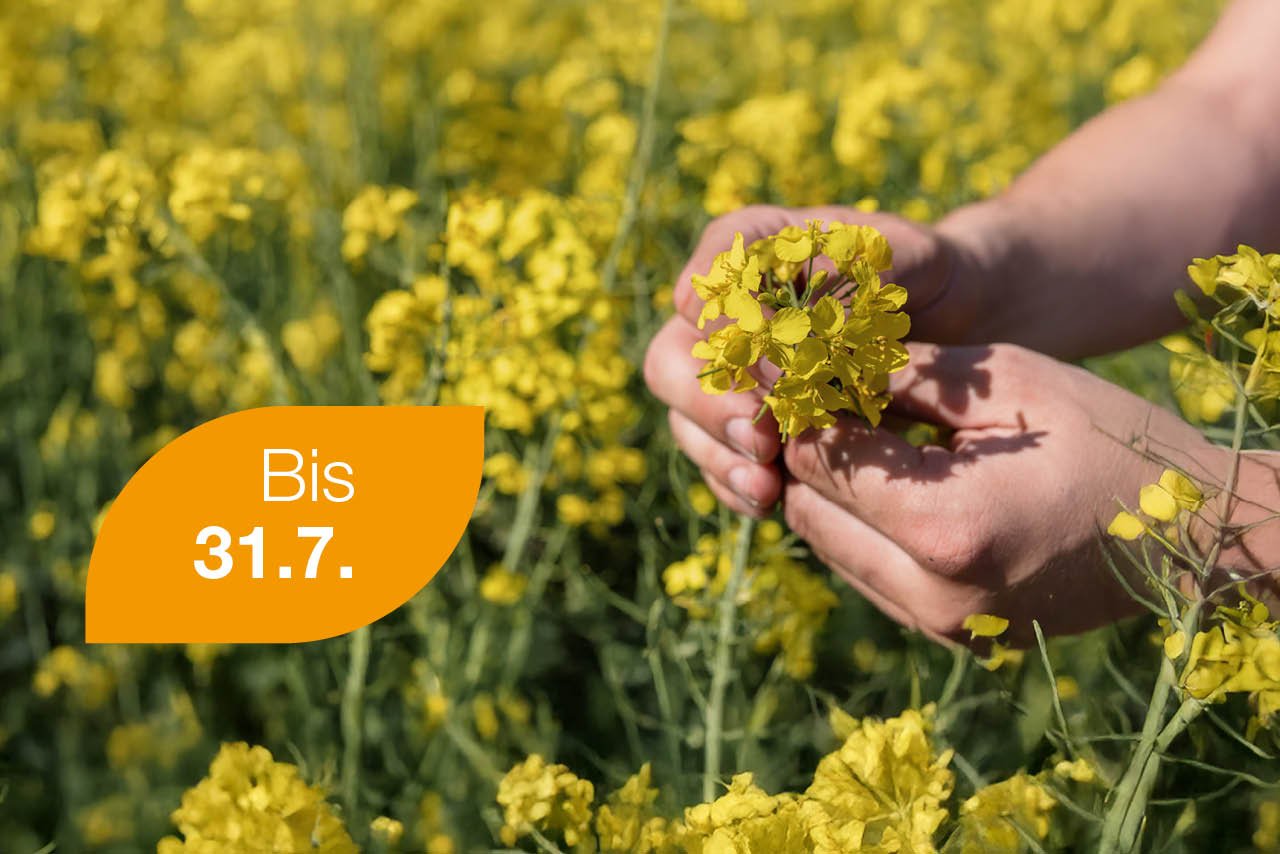 FC_Aktionen_1280x854_CantusU