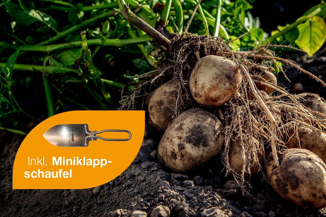 FC_Aktionen_1280x854_Divexo