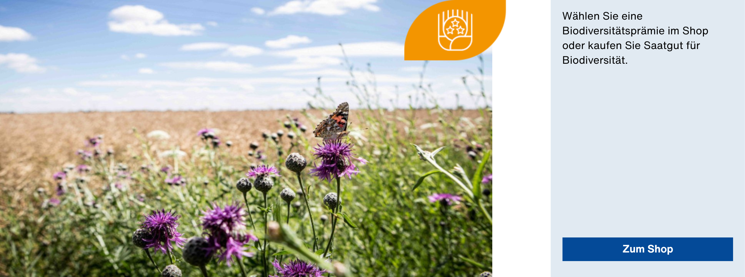 Wählen Sie eine Biodiversitätsprämie im Shop oder kaufen Sie Saatgut für Biodiversität Laufzeit: Bis 31.07.2026