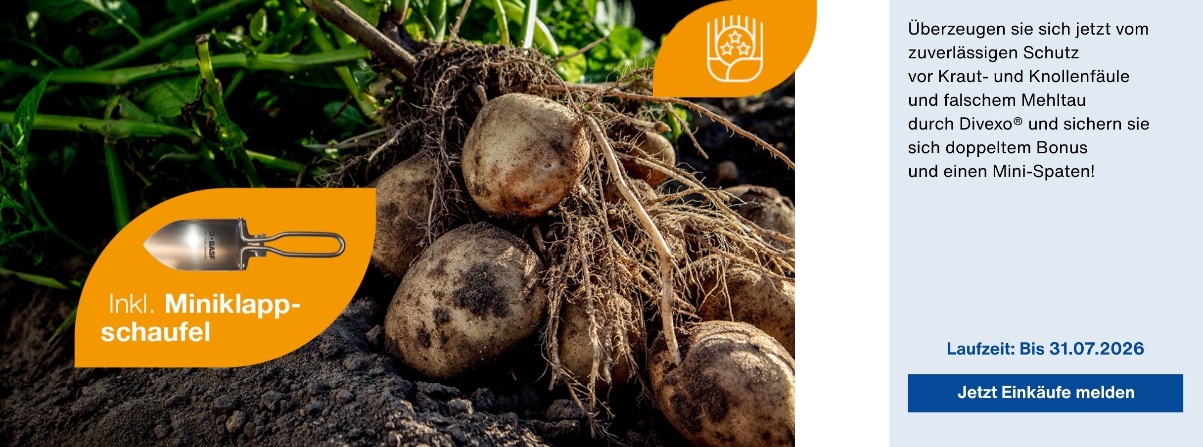 Überzeugen sie sich jetzt vom zuverlässigen Schutz vor Kraut- und Knollenfäule und falschem Mehltau durch Divexo® und sichern sie sich doppeltem Bonus und einen Mini-Spaten! Laufzeit: Bis 31.07.2026
