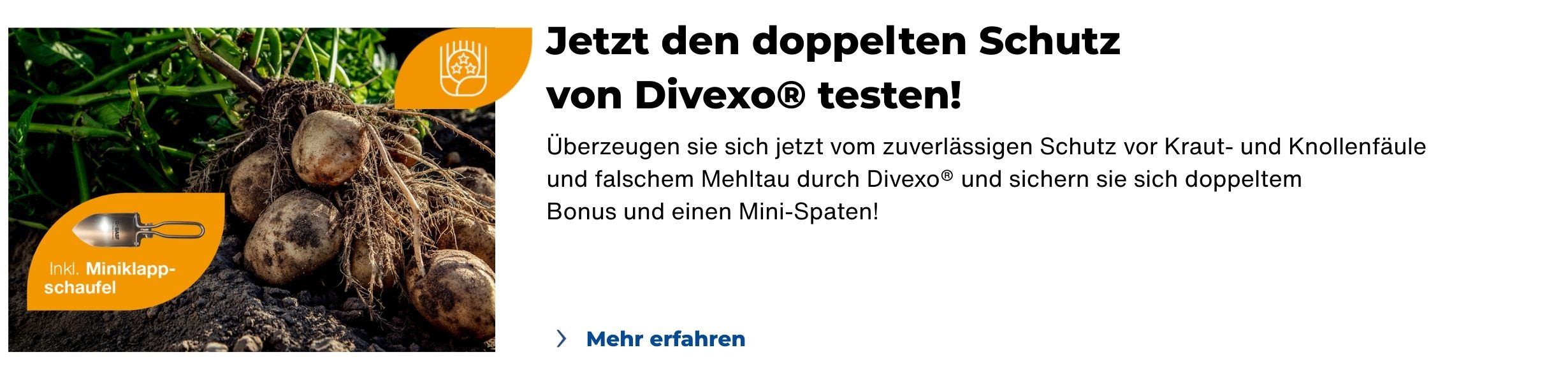 Jetzt den doppelten Schutz von Divexo® testen! Überzeugen sie sich jetzt vom zuverlässigen Schutz vor Kraut- und Knollenfaule und falschem Mehltau durch Divexo® und sichern sie sich doppeltem Bonus und einen Mini-Spaten!